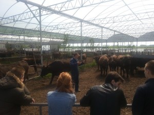 20130604_111543 (klein)