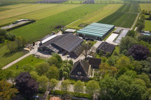 Koeientuin 10 Is It A Bird klein