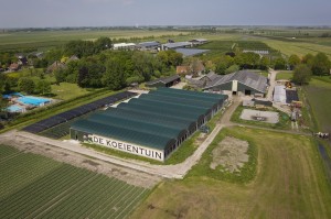 Koeientuin 6 Is It A Bird klein