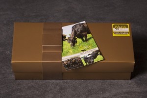 pakket_vp_067 (klein)