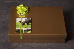 pakket_vp_068 (klein)